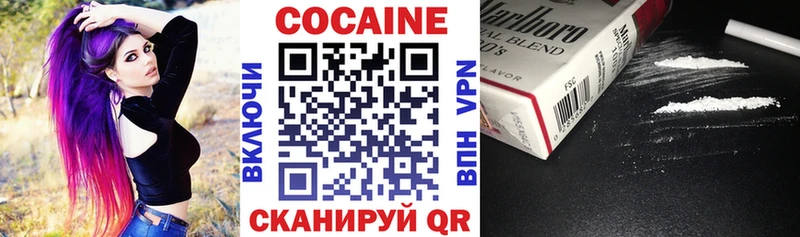 как найти Терек Cocaine Боливия