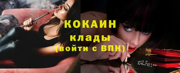 Альфа ПВП Покровск
