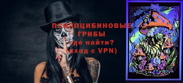 spice Арсеньев